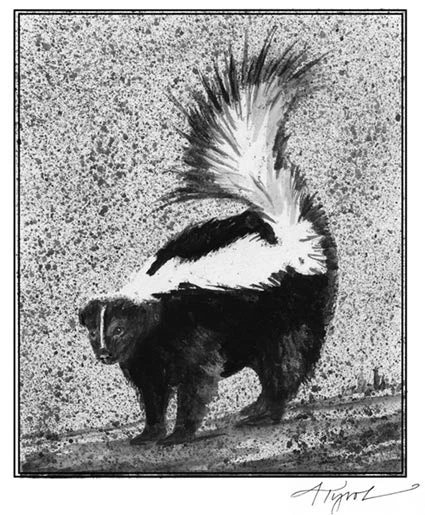 how-long-do-skunks-spray-in-the-winter_1753708478