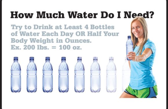 Discover The Value: How Much Is 14 Ounces?