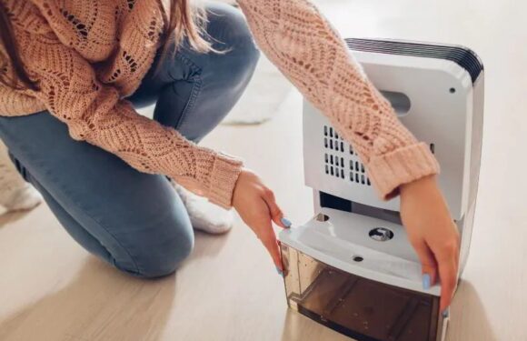 Optimal Water Collection Rate: How Much Water Should A Dehumidifier Collect In An Hour