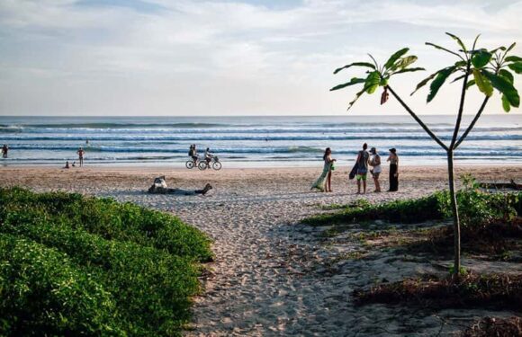 Guide On How To Get To Nosara Costa Rica: Easy Tips & Travel Info