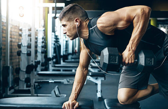 Prime Pharma Anabolics – Effective Solutions Supporting Training and Performance