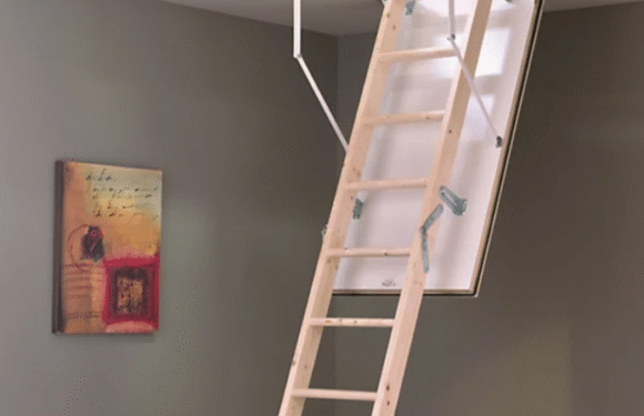 Enhancing Home Value and Accessibility: The Growing Importance of Loft Access Solutions