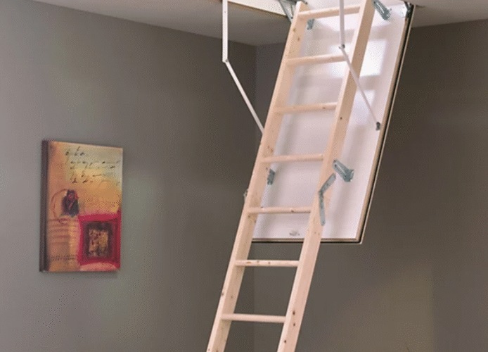 Enhancing Home Value and Accessibility: The Growing Importance of Loft Access Solutions