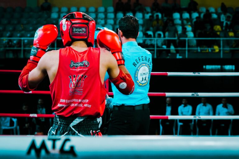 Exploring the Accessibility of Boxing Streams Worldwide